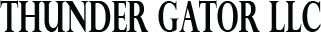 Thunder Gator LLC